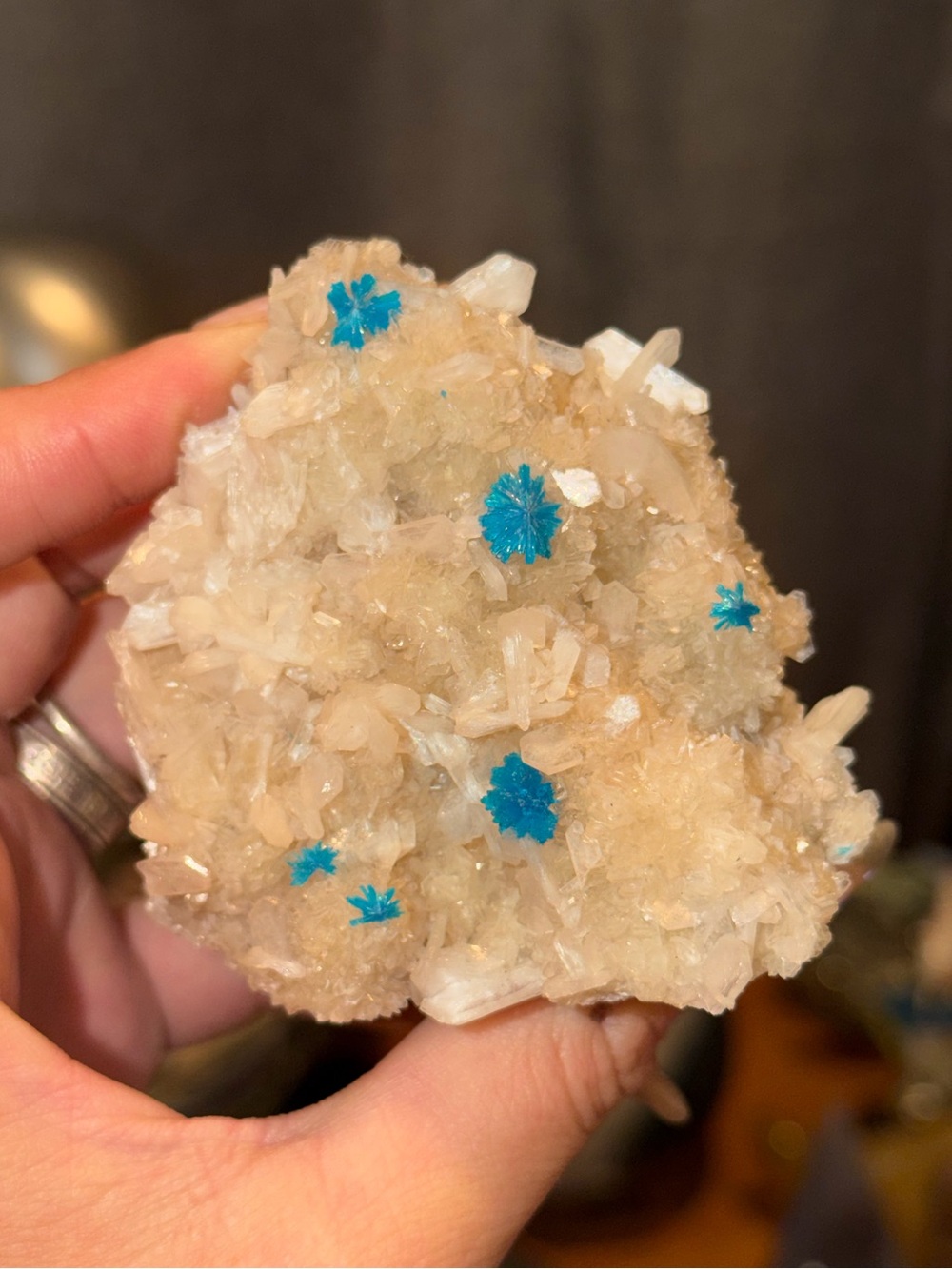 Canvansite